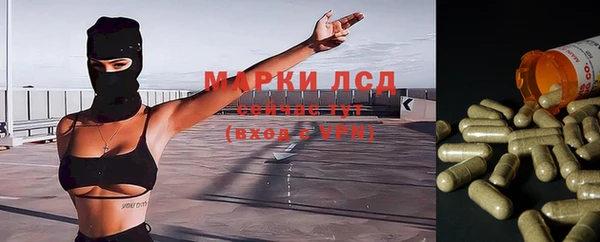 гашик Армянск