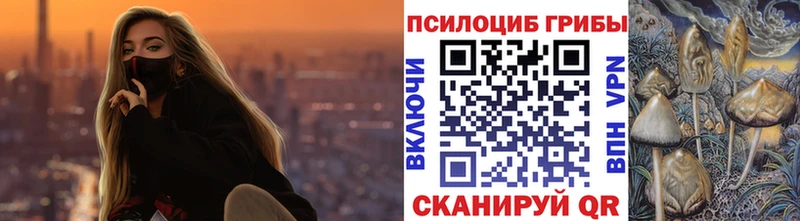 Псилоцибиновые грибы GOLDEN TEACHER  ссылка на мегу зеркало  Тарко-Сале  где купить  